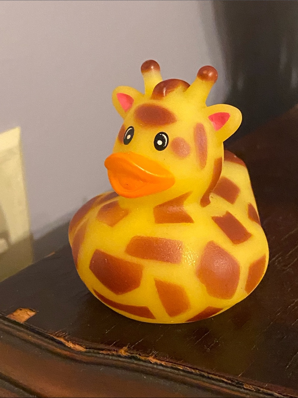 Ducking Rubber Duck Giraffe Zoo Safari Animal Bath Toy